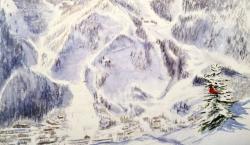 Aspen View